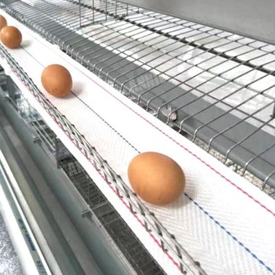 kaufen Verkaufsei-Sammlungsgurt Annilte heißer in der Geflügelfarm online manufacture