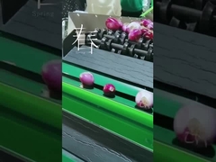 Fruchtreinigung und wählen Maschine