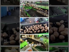 Fruchtreinigung und sortierende Maschine