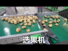 Fertigen Sie Frucht-Gemüse-Sortierer besonders an