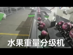 Automatischer elektronischer Fruchtsortierer und Maschine wiegen