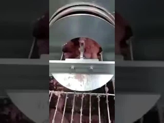 PU-Fischknochentrennband, Knochenentfernungsscheideband, Förderband